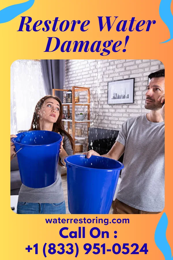 water restoration Silver Sewage Cleanup & Sons Elizabeth