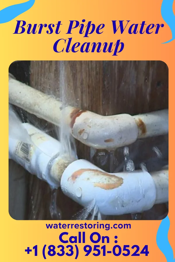 Burst Pipe Water Cleanup in Elizabeth, WV
