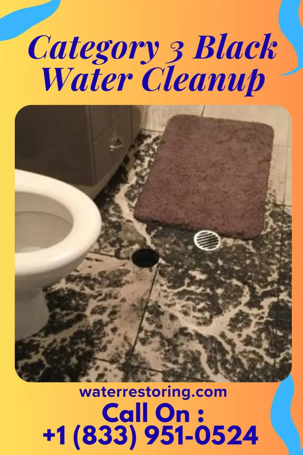 Category 3 Black Water Cleanup in Elizabeth, WV