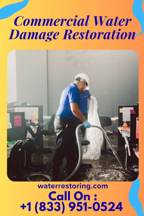 Commercial Water Damage Restoration in Elizabeth, WV