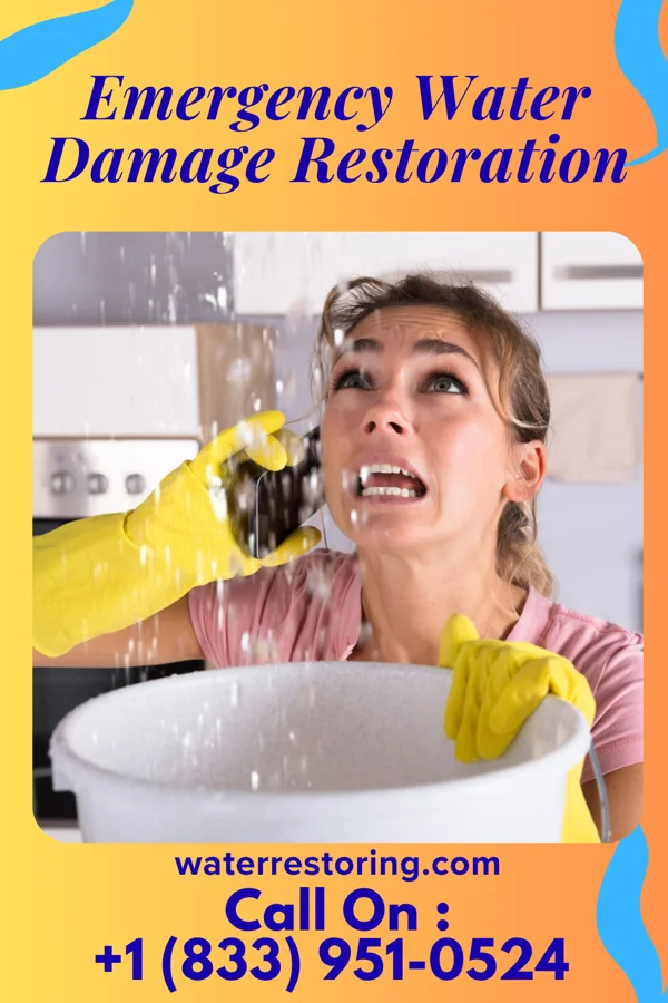 Emergency Water Damage Restoration in Elizabeth, WV