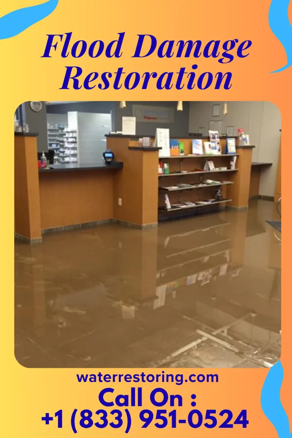 Flood Damage Restoration in Elizabeth, WV