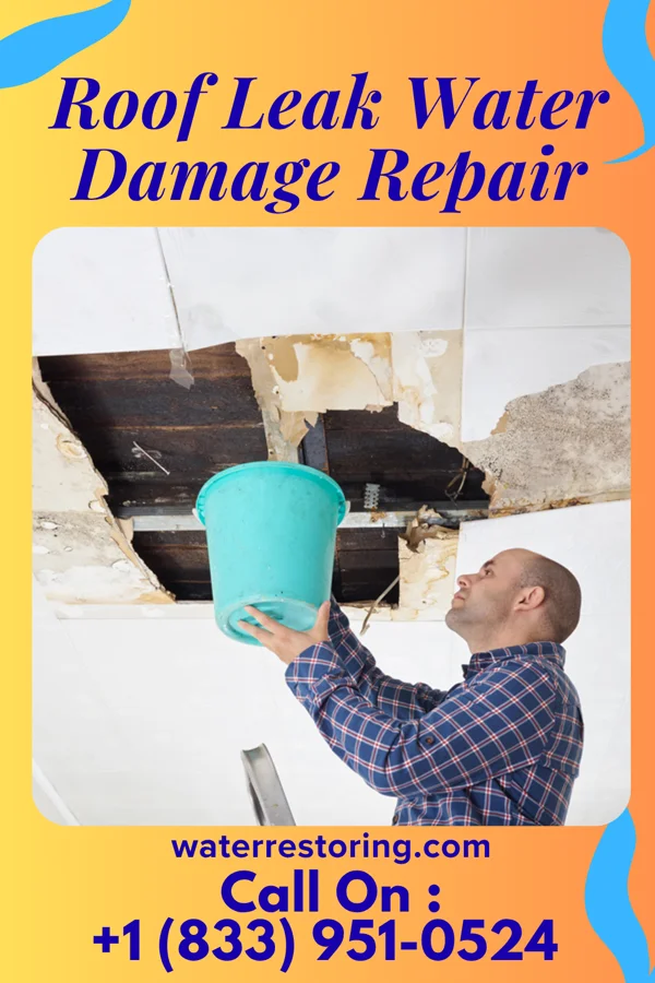 Roof Leak Water Damage Repair in Elizabeth, WV